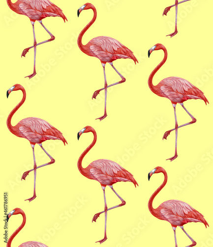 Seamless Pattern with hand-drawn Flamingo, digitally colored © Victoria Novak