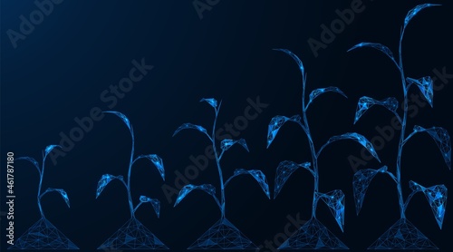 Stages of plant growth. Ecological concept. Polygonal construction of interconnected lines and points. Blue background.