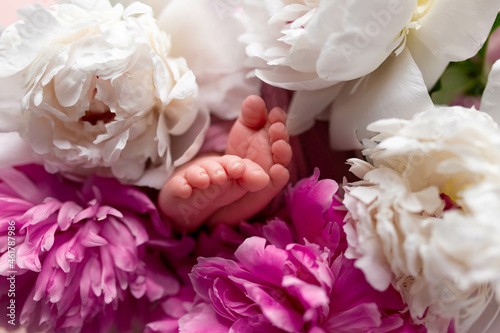 foot of a newborn baby. children s leg on the background of peonies