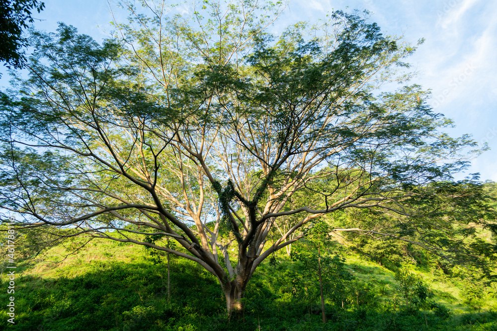 cascada de la media luna