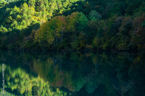 lake in the woods