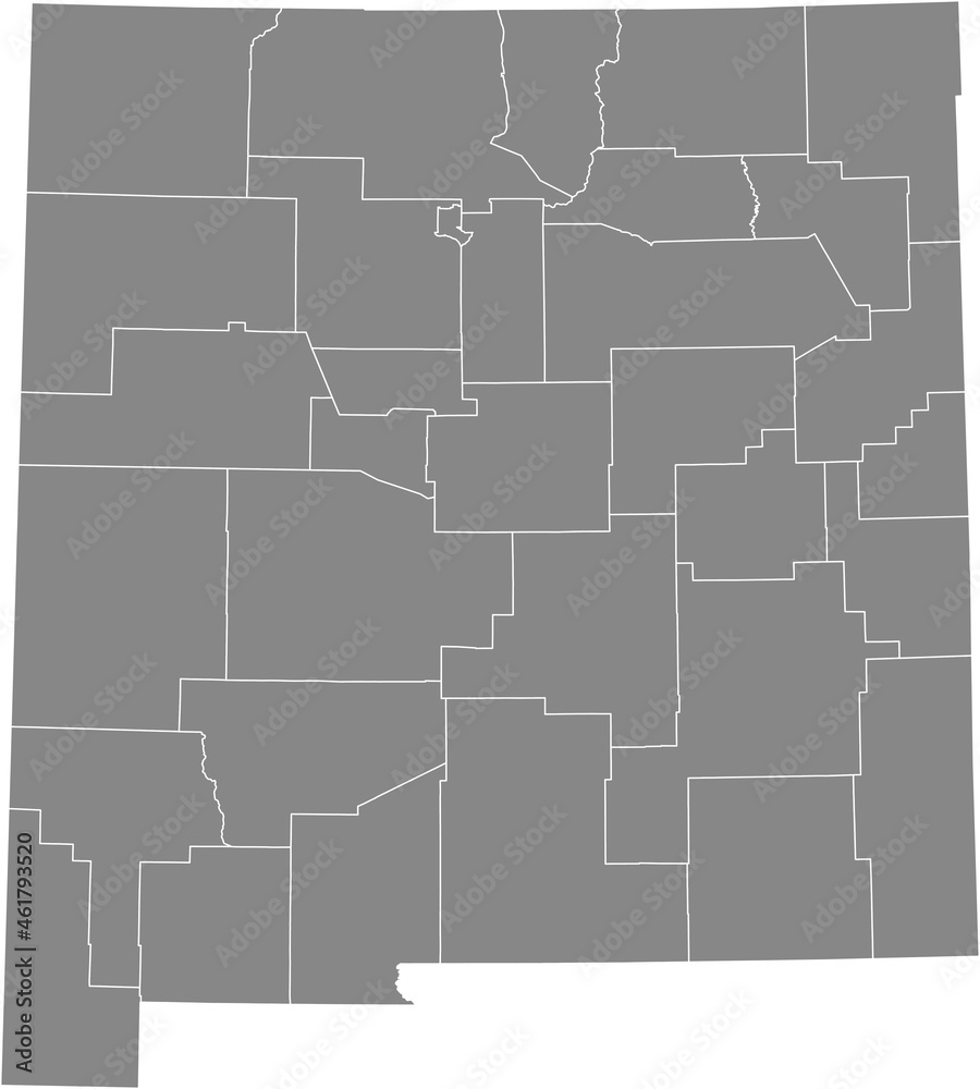 Gray vector map of the Federal State of New Mexico, USA with white borders of its counties