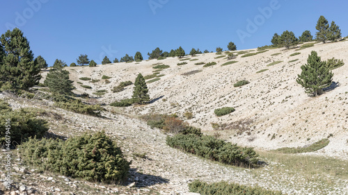 Landscape Mont Ventoux in the sunshine