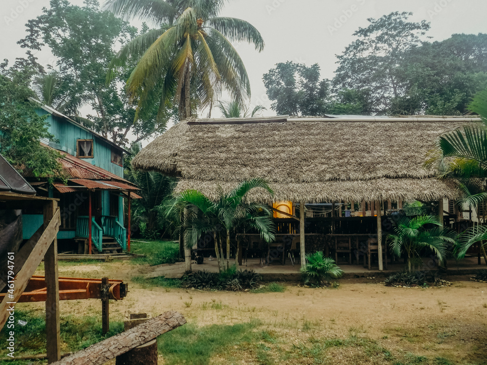 Grass roofed homes in Honduras with palm trees Grass roofed homes in Honduras with palm trees