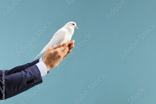 Canvas Male hands holding a white dove on a blue background