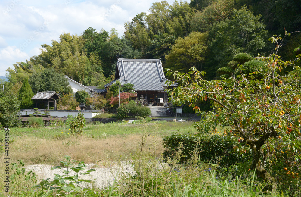 巨勢の道 安楽寺 本堂 奈良県御所市 巨勢の道 安楽寺 本堂 奈良県御所市