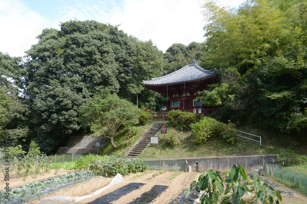 Fototapeta premium 巨勢の道 安楽寺塔婆 奈良県御所市
