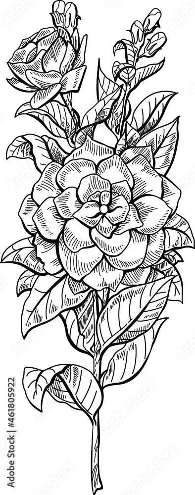 Black and white illustration sketch of a flower