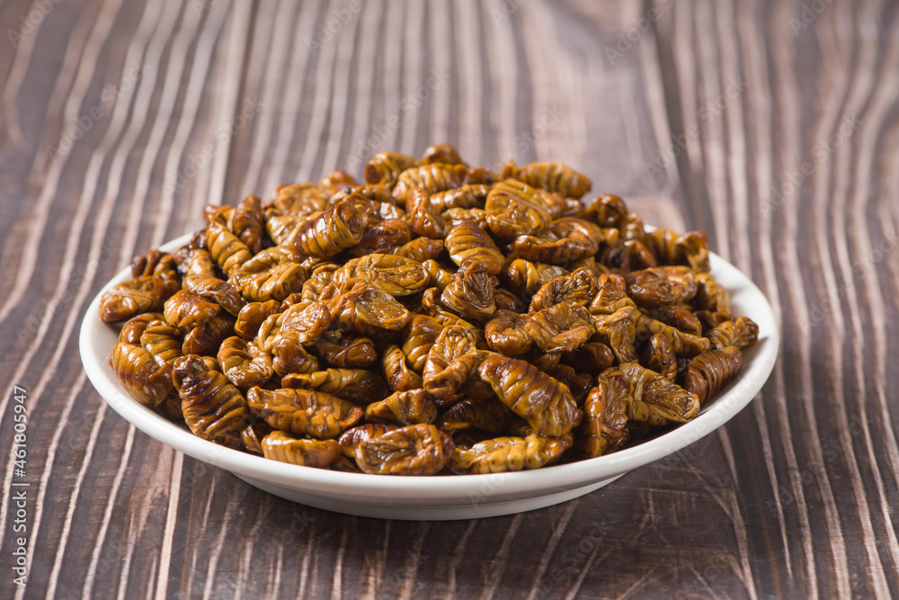 Fried Silkworm chrysalis in a plate on table Fried Silkworm chrysalis in a plate on table
