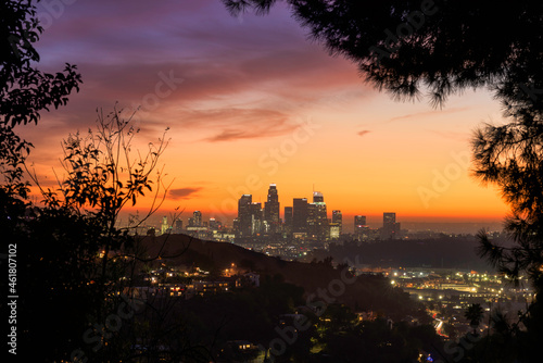 Los Angeles framed in Trees