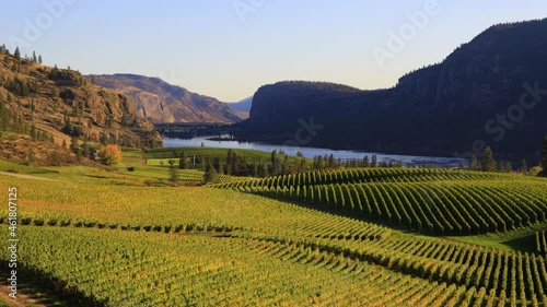 Blue Mountain Vineyard McIntyre Bluff Vaseux Lake photo