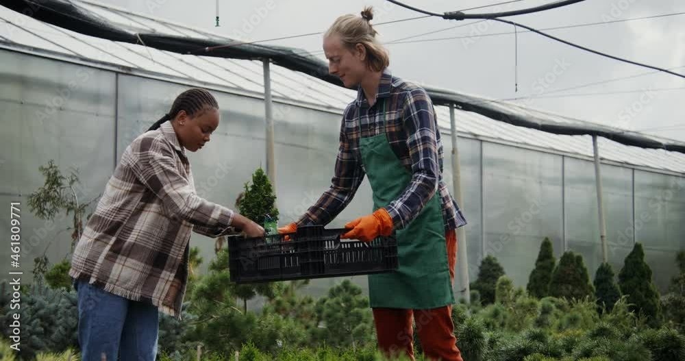 A young woman selects plants for purchase, a florist man helps her A young woman selects plants for purchase, a florist man helps her