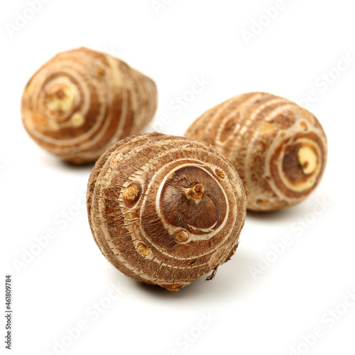 Taro on a white background