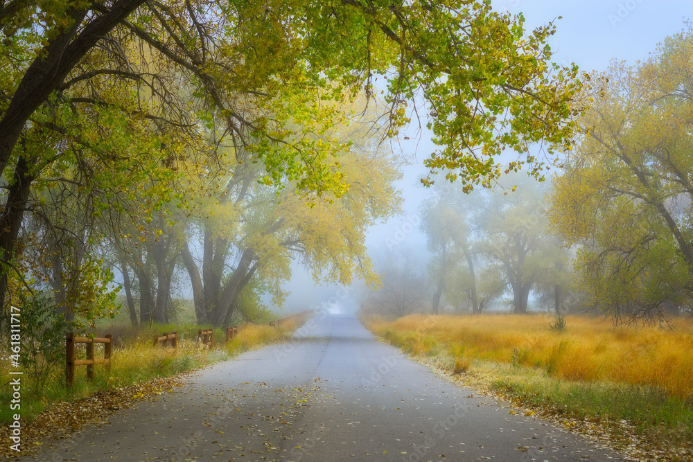 Fototapeta premium Autumn road