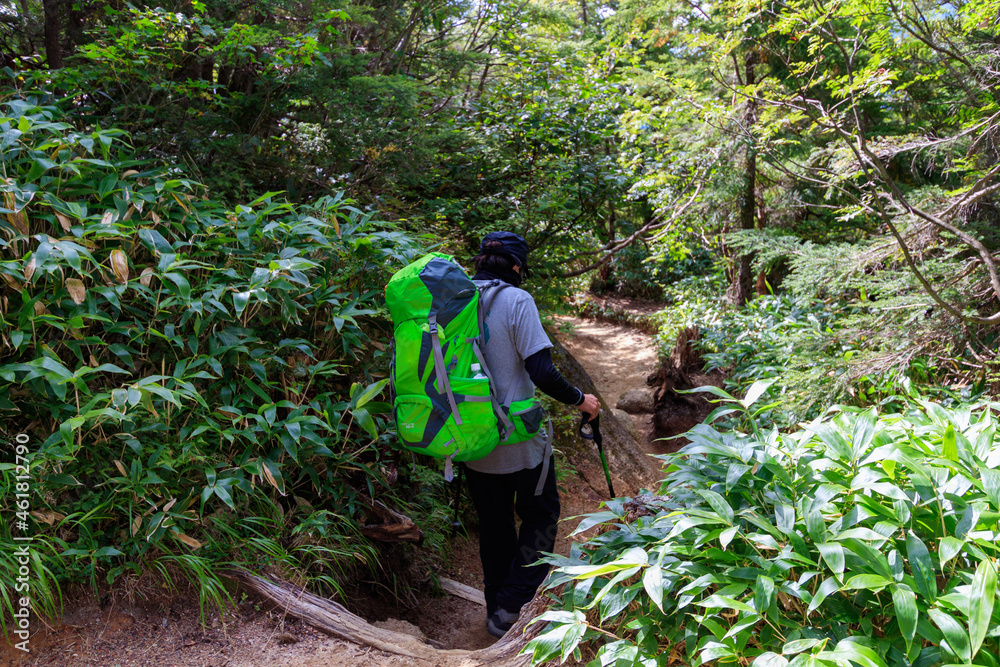 Naklejka premium 燕岳合戦尾根ルートの登山道を下る男性