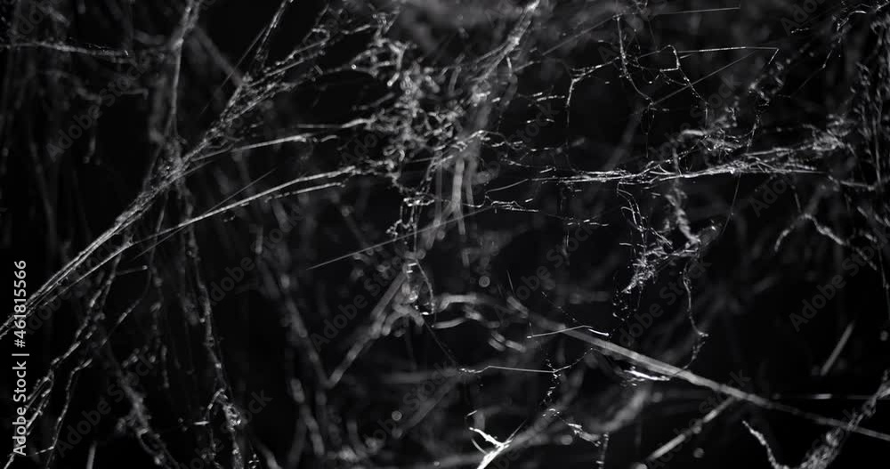 Pushing through a mess of spooky cobwebs at night. Halloween spider web background.