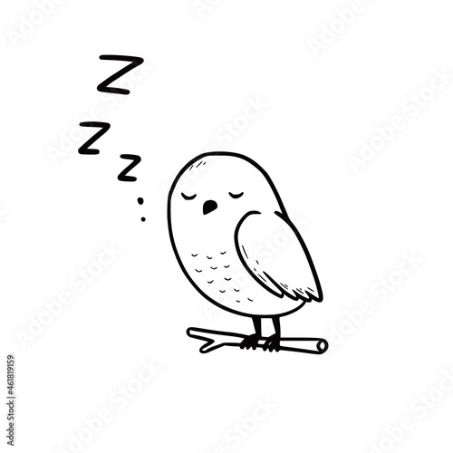Hand drawn cute sleep owl with zzz text. Doodle sketch style. Drawing line simple sleep owl icon. Isolated vector illustration.