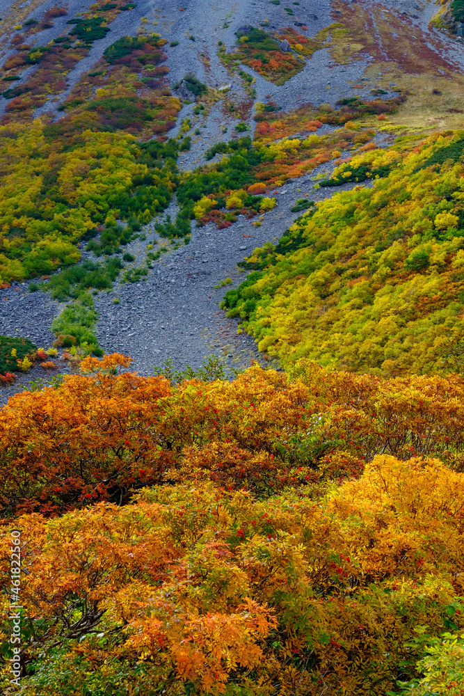 涸沢カールの紅葉