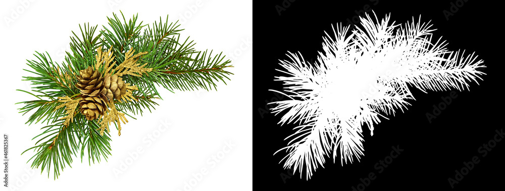 Christmas corner arrangement with pine twigs and golden cones isolated on white background and  silhouett - obrazy, fototapety, plakaty 