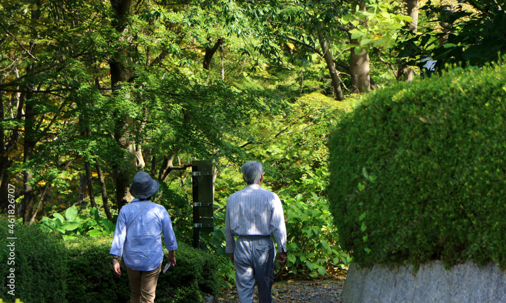 Obraz premium 公園を散歩する老夫婦
