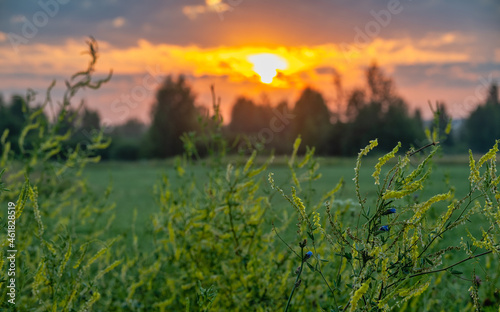 Sunrise landscape in rural over an agricultural field with bright light and colorful clouds. Sunbeams and trees in the background.