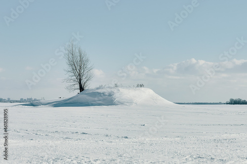 Alone tree in the middle of a frozen white snowy river. Winter landscape with a tree © V_Saratovtseva