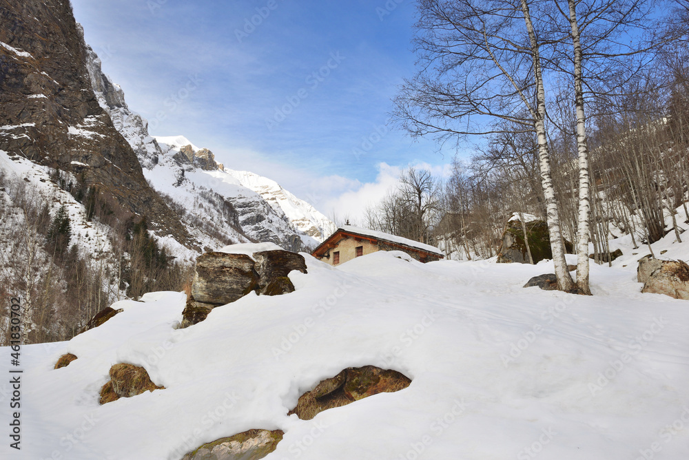 Fototapeta premium alpine mountain in the snow with a chalet burried in snow