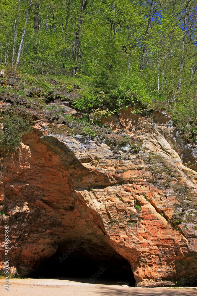 Fototapeta premium Spring landscape