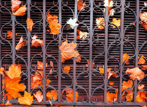 Red orange autumn leaves on rusted iron ventilation hood