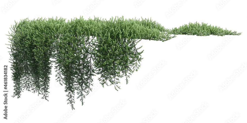 Climbing plants creepers isolated on white background 3d illustration - obrazy, fototapety, plakaty 