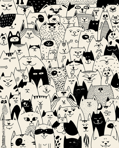 Full house of cats. Many different cats on paper. The characters of the cats. Pets. Affectionate cat. Background for a pet store.