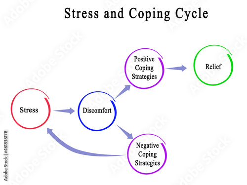  Stress and Coping Cycle