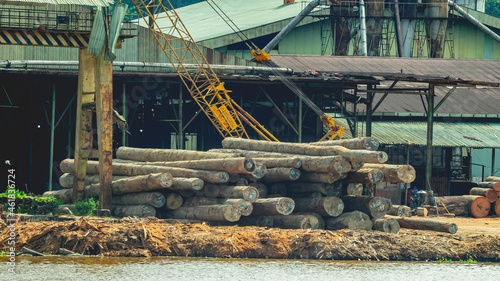 Timber loaded into big barge then drag by a tugboat cruising Mahakam River  Borneo  Indonesia