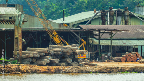 Timber loaded into big barge then drag by a tugboat cruising Mahakam River, Borneo, Indonesia photo