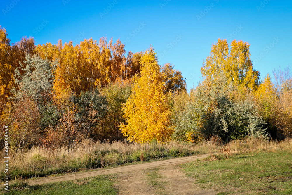 Gravel road, colorful broadleaf foliage in the autumn forest. Indian summer. Gravel road, colorful broadleaf foliage in the autumn forest. Indian summer.