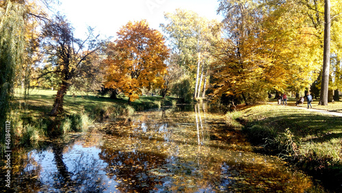 Autumn trees reflected in water. Scenic golden autumn in the park. Beautiful autumn landscape in the morning. 