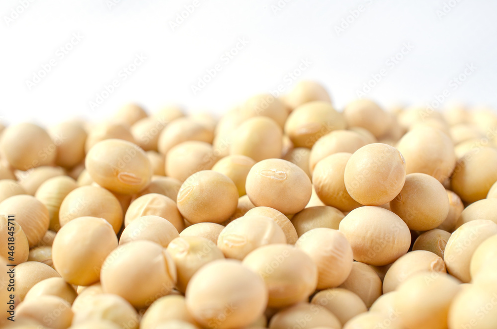 Closed up dry organic soybean seed pile on white background. Concept of healthy or diet food ingredient and agricultural product Closed up dry organic soybean seed pile on white background. Concept of healthy or diet food ingredient and agricultural product