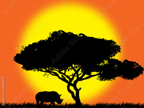 rhino silhouette of a tree in sunset