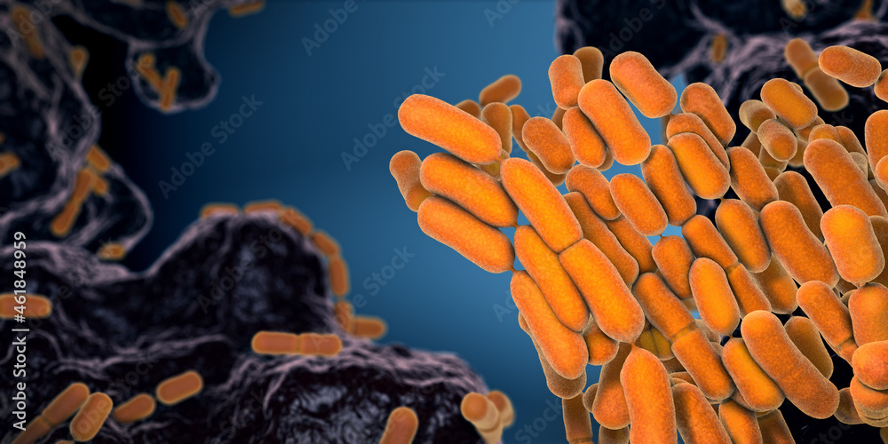 Yellow colored Escherichia coli bacteria found in the intestine and feces - 3d illustration - obrazy, fototapety, plakaty 