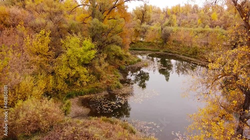 Beautiful aerial landscape, drone view over river bay in golden forest. autumn colorful trees in russian countryside, Samara region, Russia 
