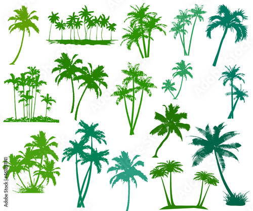 Green palm trees set isolated on white background. Palm silhouettes. Design of palm trees for posters  banners and promotional items.
