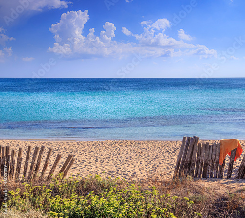 Fototapeta Naklejka Na Ścianę i Meble -  Summertime: fence on the beach in Puglia, Italy: the sandy beach of San Pietro in Bevagna, a natural oasis in front of the blue Ionian sea, stretches for several kilometres with crystal clear water.