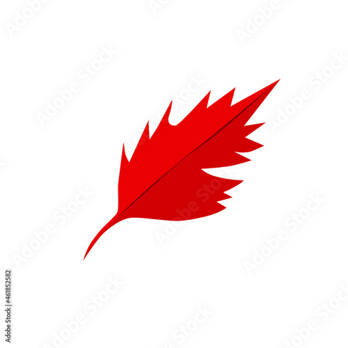 Red, decorative, autumn leaf element for the design of printed products, web, print on fabric. Vector illustration isolated on a white background.
