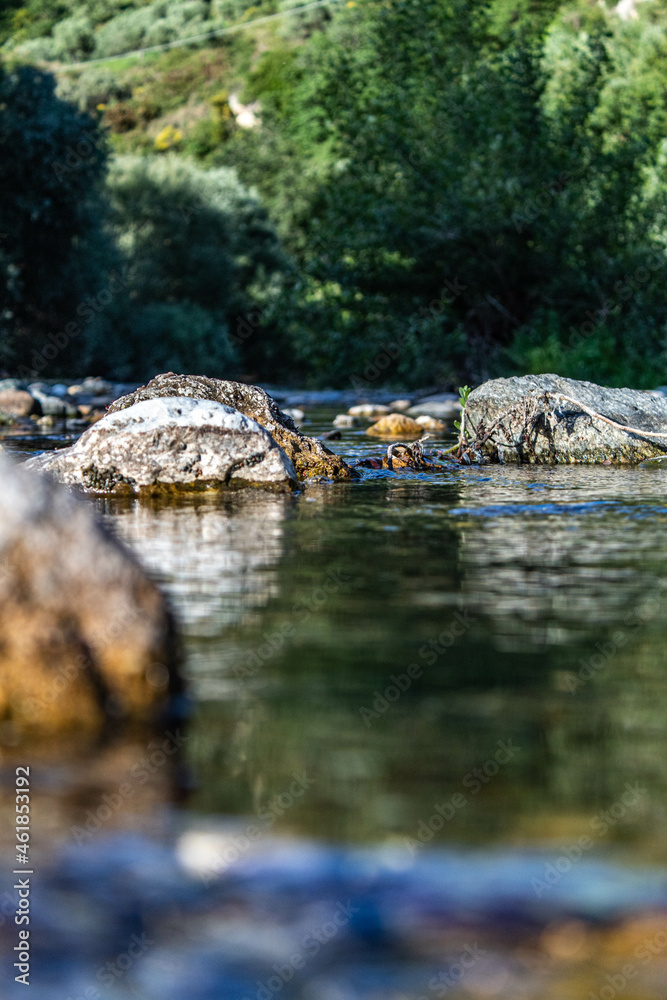 river in the forest river in the forest