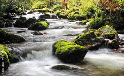 Bergbach im Sommer - Bachlauf mit Steine und klarem Wasser mit Bewegungsunschärfe photo