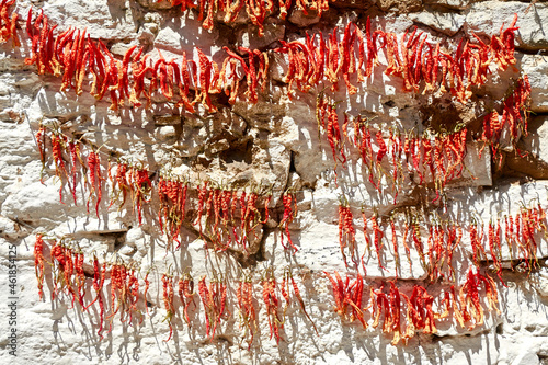 Peppers, chili peppers hanging in the sun to dry