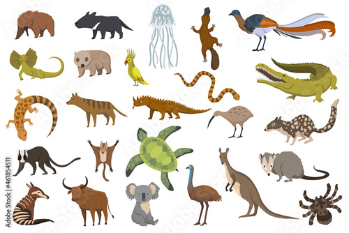 Animals of australia. Nature fauna collection. Geographical local fauna. Mammals living on continent. Vector illustration in kids style © designer_things