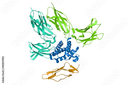 Crystal structure of interleukin-15 quaternary complex. Ribbons diagram with differently colored protein chains based on protein data bank. Scientific background. 3d illustration photo