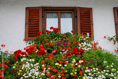 a beautiful window of a traditional rustic German house with geraniums in the Bavarian village Garmisch-Partenkirchen Garmisch  Bavaria  Germany  