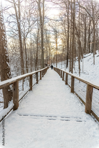 Photography A bridge at sherwood park.